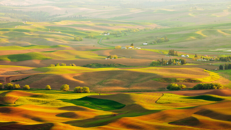 Rolling Green Hills — Serene, Morning, Photograph