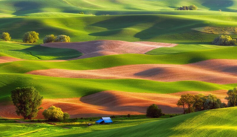 Rolling Green Hills — Serene, Morning, Photograph, Trees, Farmhouse, Plowed Fields, Shadows