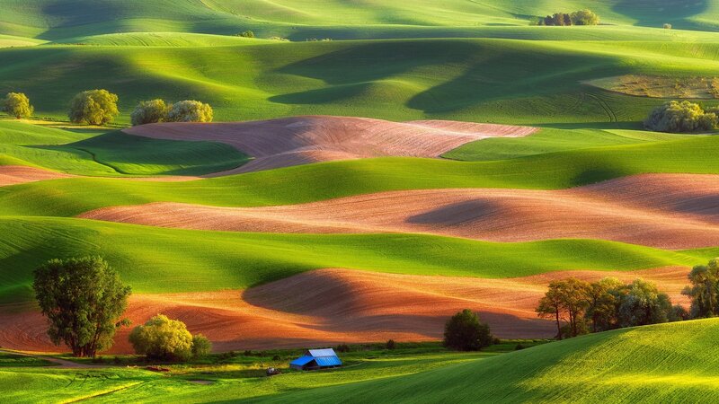 Rolling Green Hills — Serene, Morning, Photograph, Trees, Farmhouse, Plowed Fields