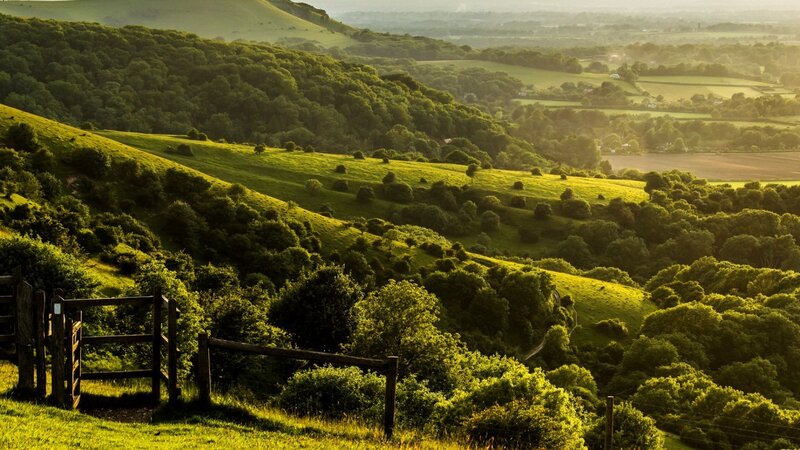 Rolling Green Hills — Serene, Morning, Photograph, Trees, Fence
