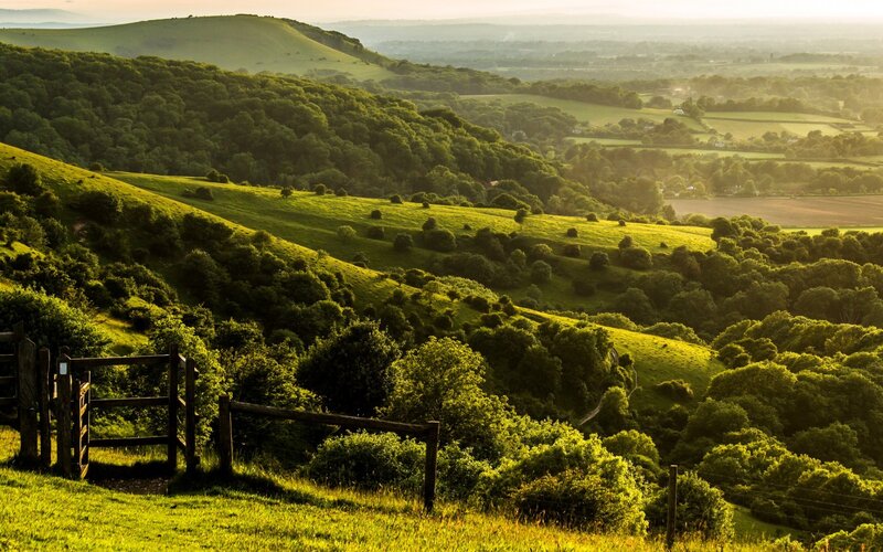 Rolling Green Hills — Serene, Morning, Photograph, Trees, Fence, Valley