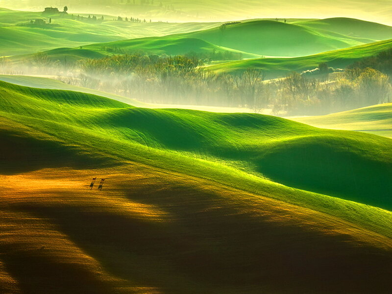 Rolling Green Hills — Serene, Morning, Photograph, Trees, Fog