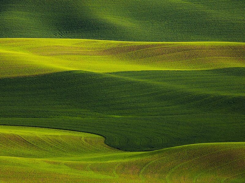 Rolling Green Hills — Serene, Morning