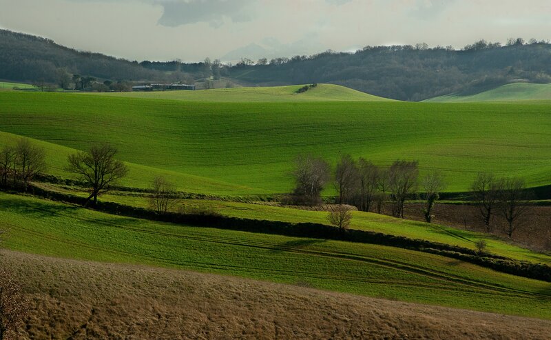 Rolling Green Hills — Serene, Spring
