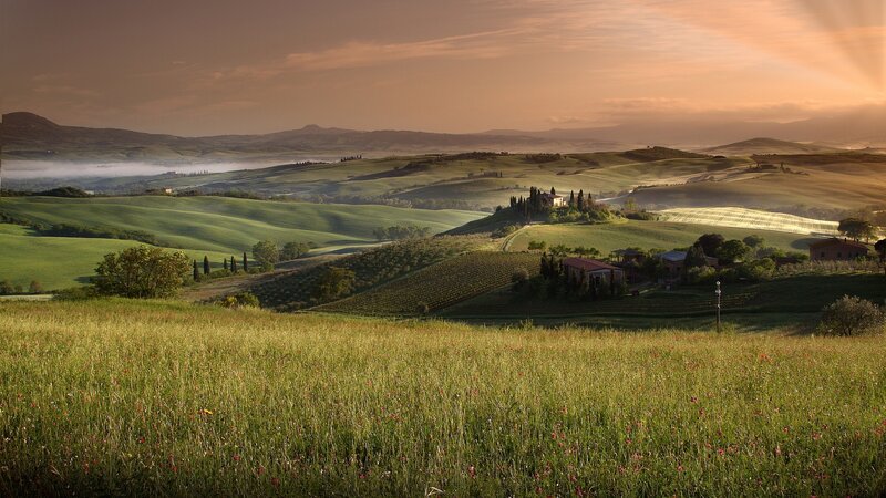 Rolling Green Hills — Serene, Sunrise