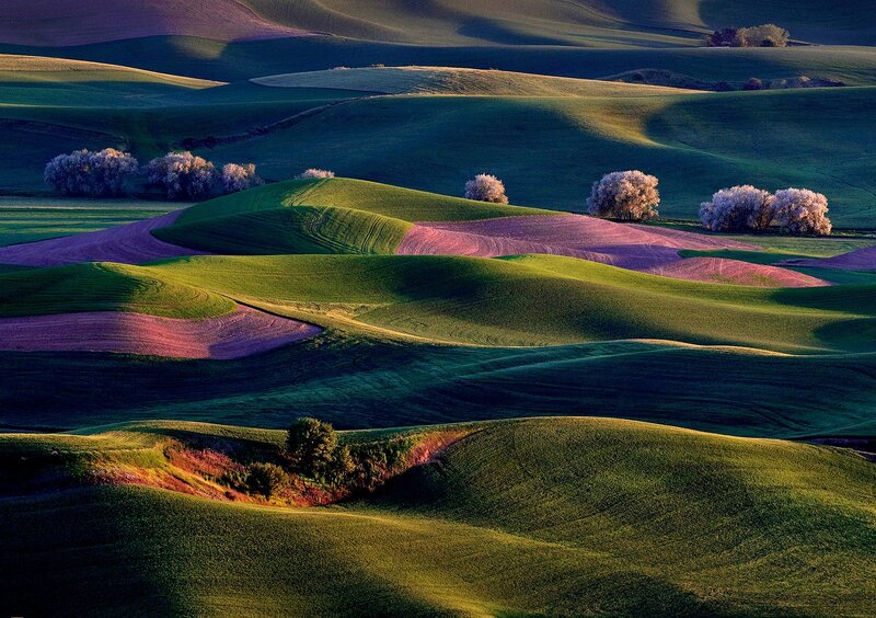 Rolling Green Hills — Serene, Sunset, Photograph, Trees, Fields
