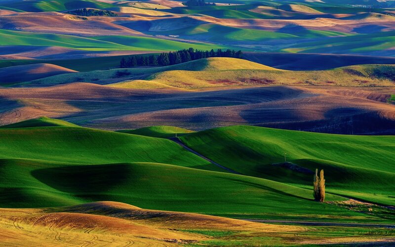 Rolling Green Hills — Serene, Sunset, Photograph, Trees, Road, Brown, Yellow