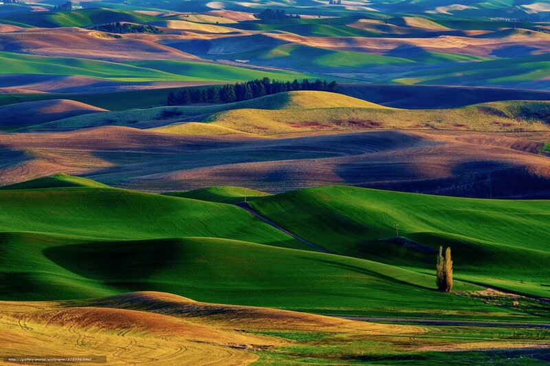 Rolling Green Hills — Serene, Sunset, Photograph, Trees, Road, Fields