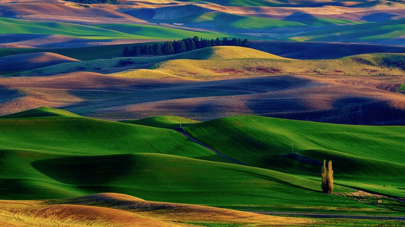 Rolling Green Hills — Serene, Sunset, Photograph, Trees, Road