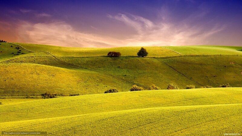 Rolling Green Hills — Serene, Sunset, Photograph, Trees, Sky, Fences