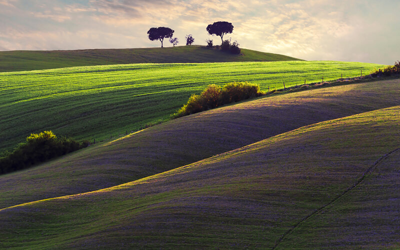 Rolling Green Hills — Serene, Sunset, Photograph, Trees, Sky