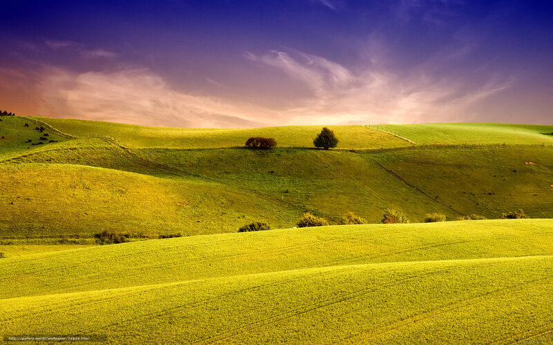 Rolling Green Hills — Serene, Sunset, Photograph, Trees