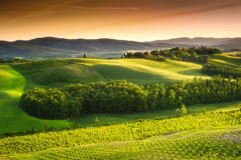 Rolling Green Hills — Serene, Sunset, Photograph, Trees, Vineyards