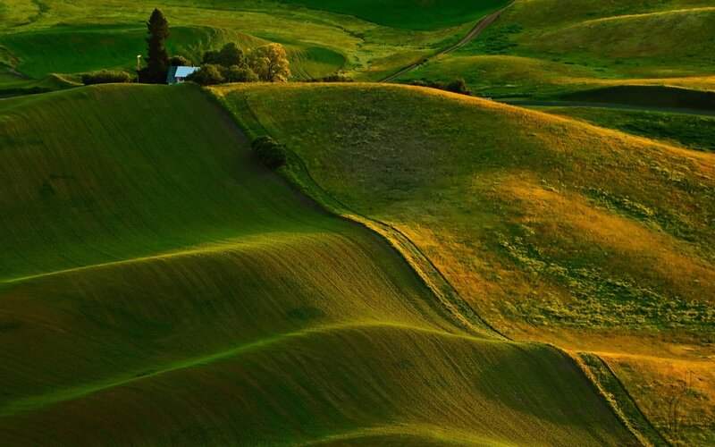 Rolling Green Hills — Serene