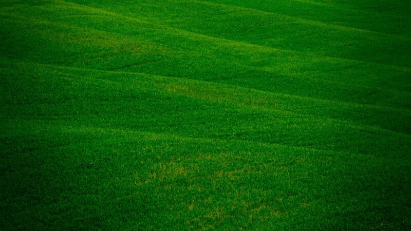 rolling green hills