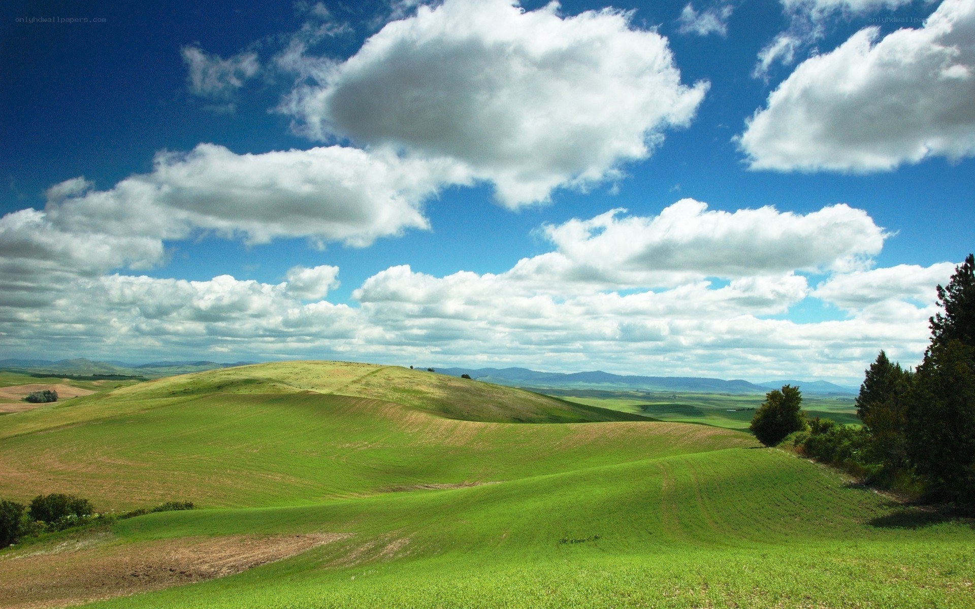 Rolling green hills under blue sky
