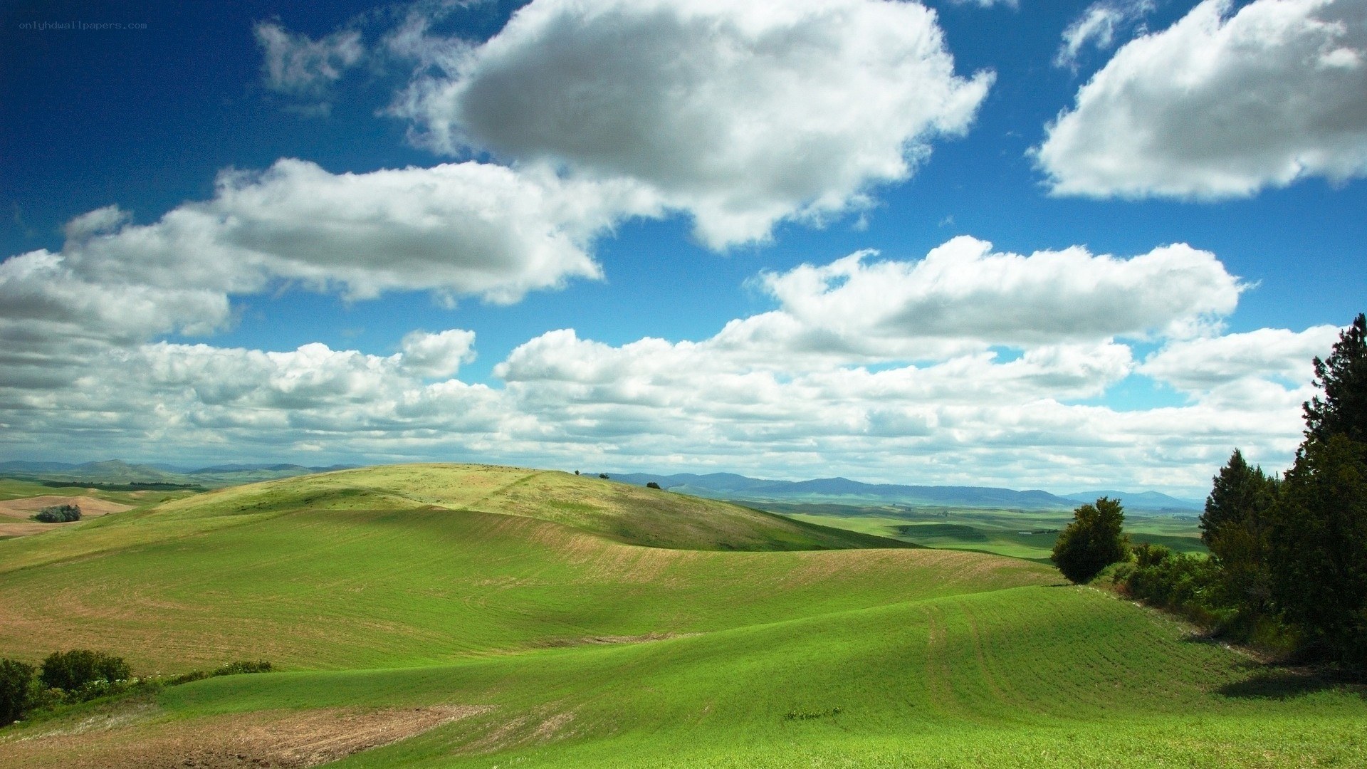 Rolling green hills under blue sky