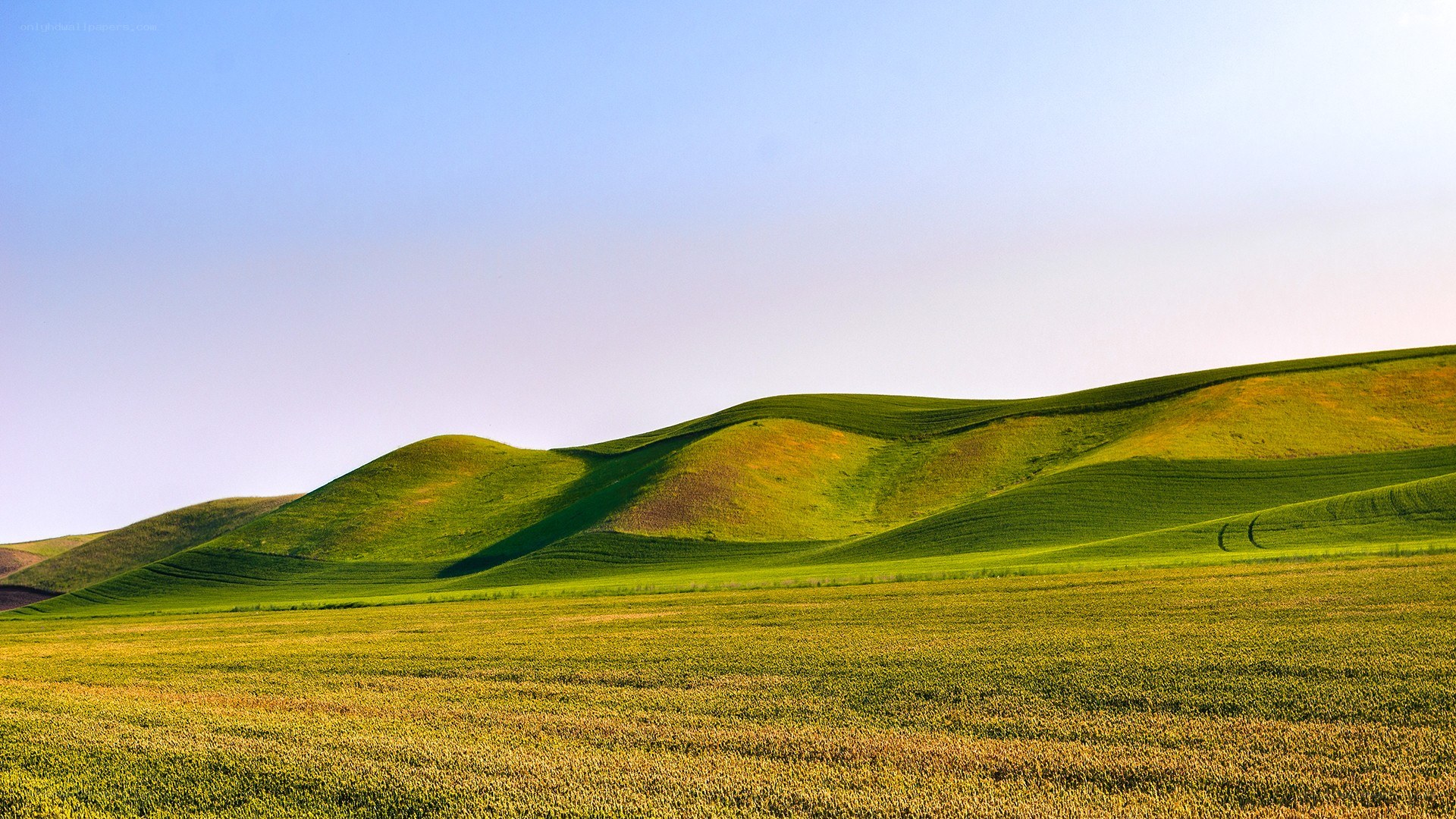 Rolling green hills under blue sky