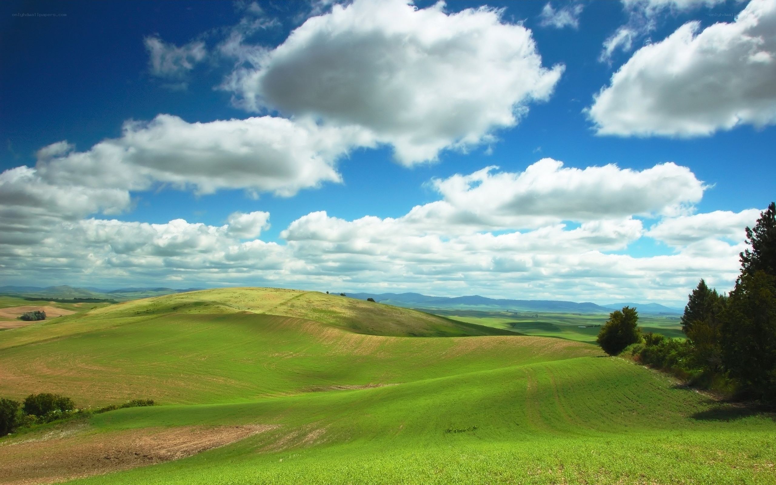 Rolling green hills under blue sky