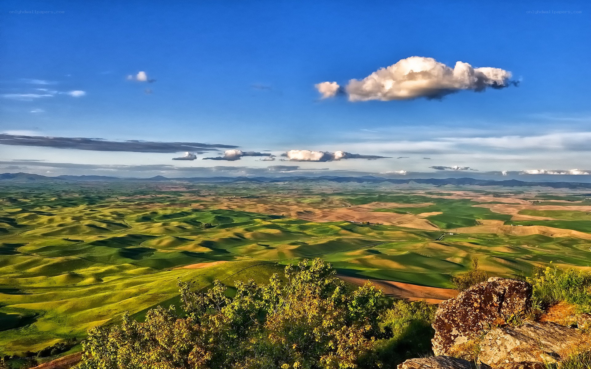 Rolling green hills under blue sky