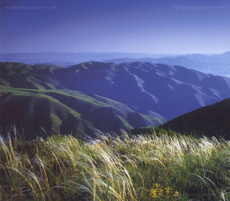 Rolling green hills under blue sky