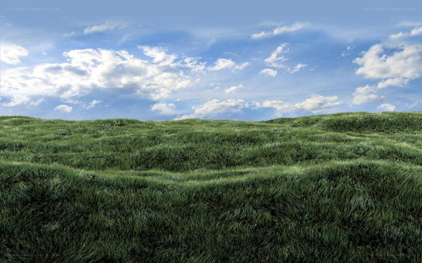 Rolling green hills under blue sky