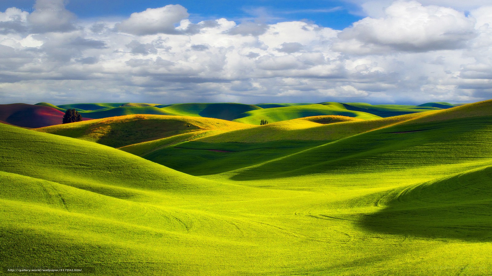Rolling green hills under cloudy sky