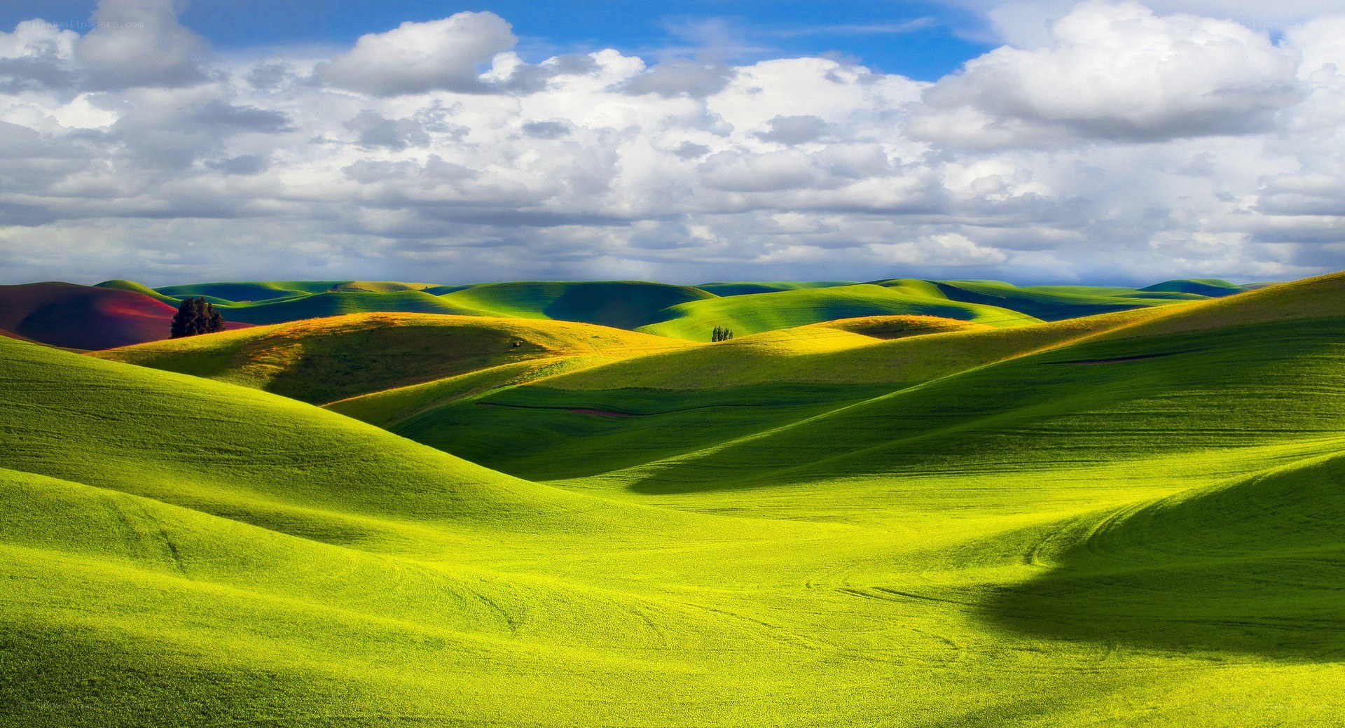 Rolling green hills under cloudy sky