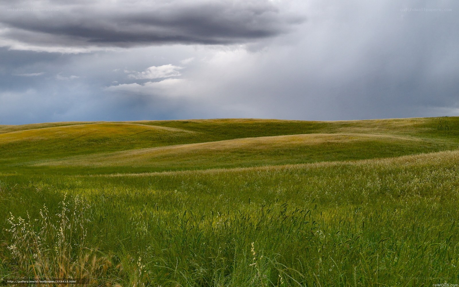 Rolling green hills under stormy sky