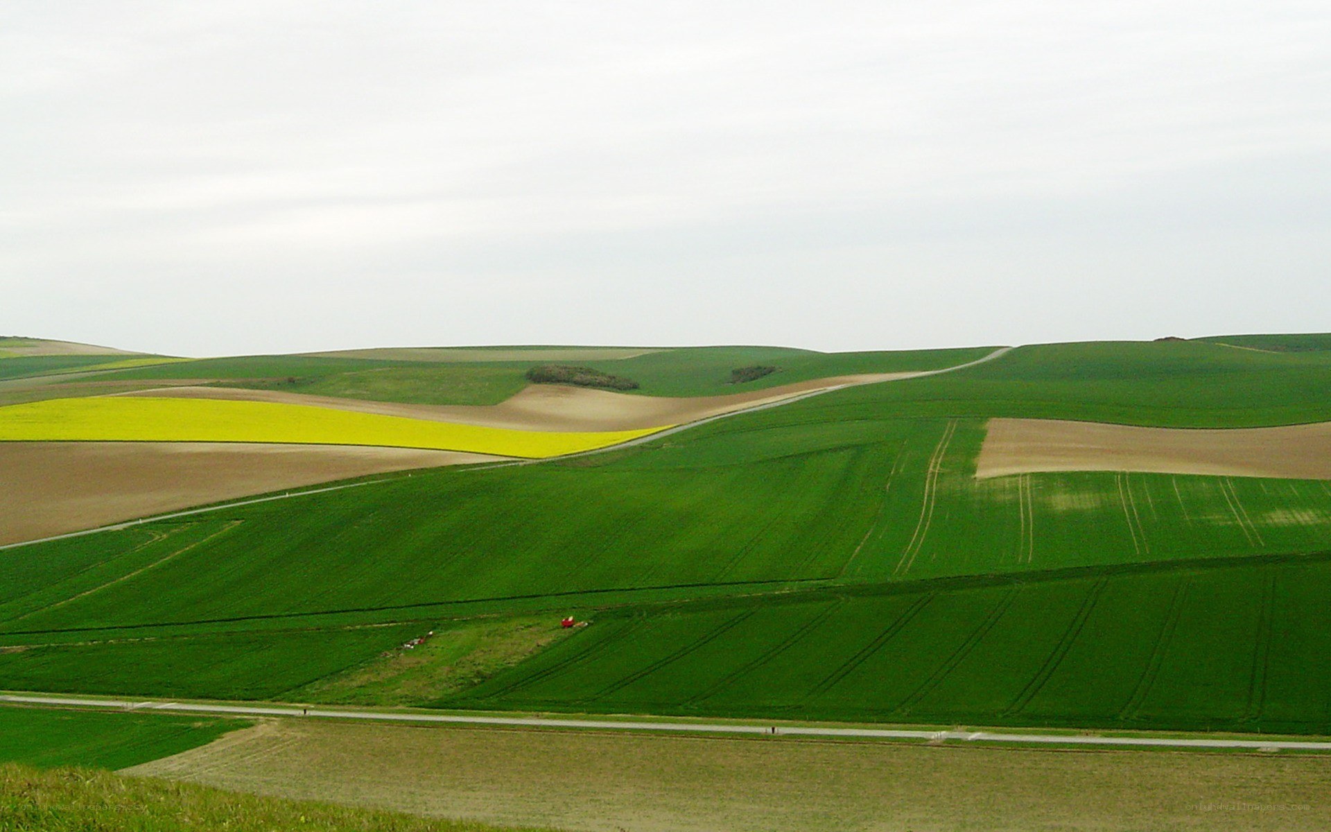 Rolling green hills with fields