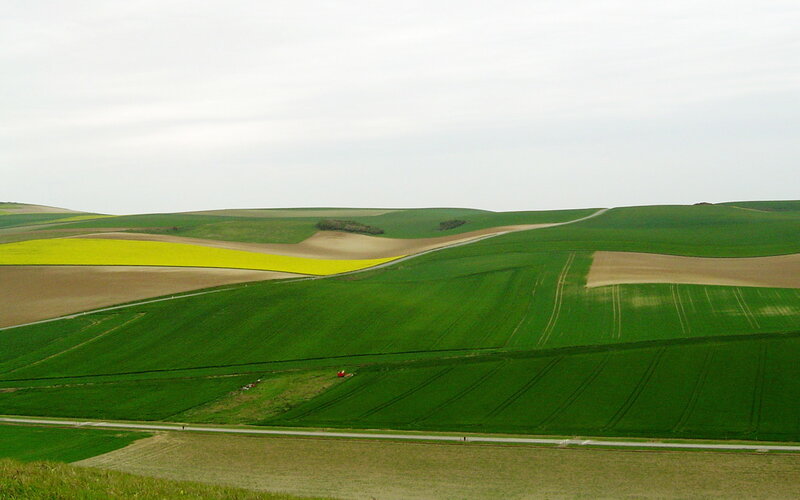 Rolling green hills with fields
