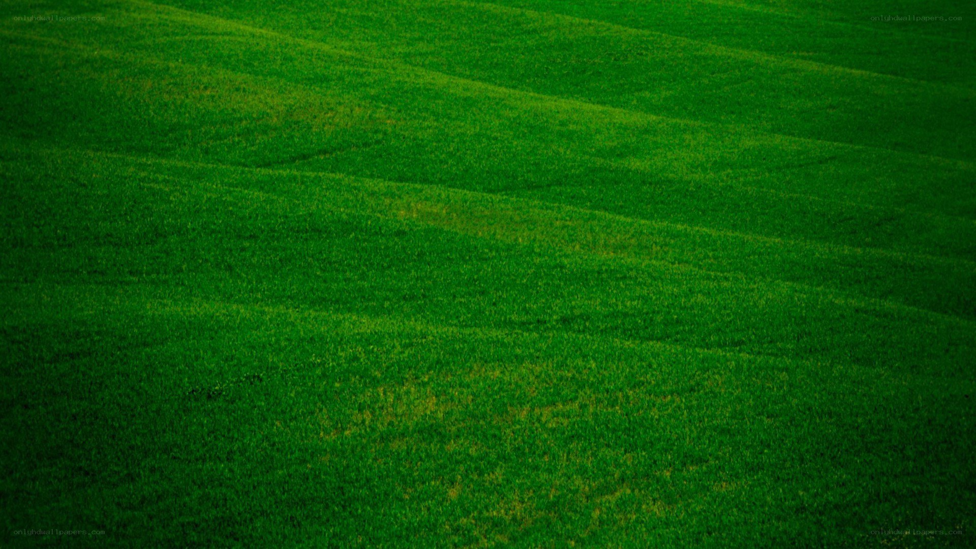 rolling green hills