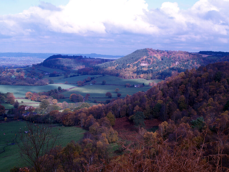Rolling Hills and Autumn Trees