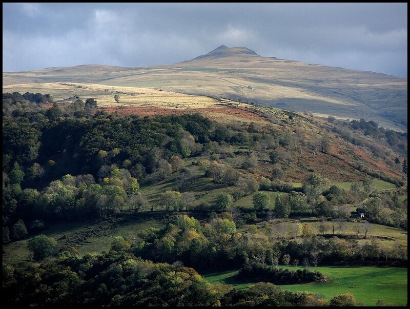 Rolling hills and distant mountain