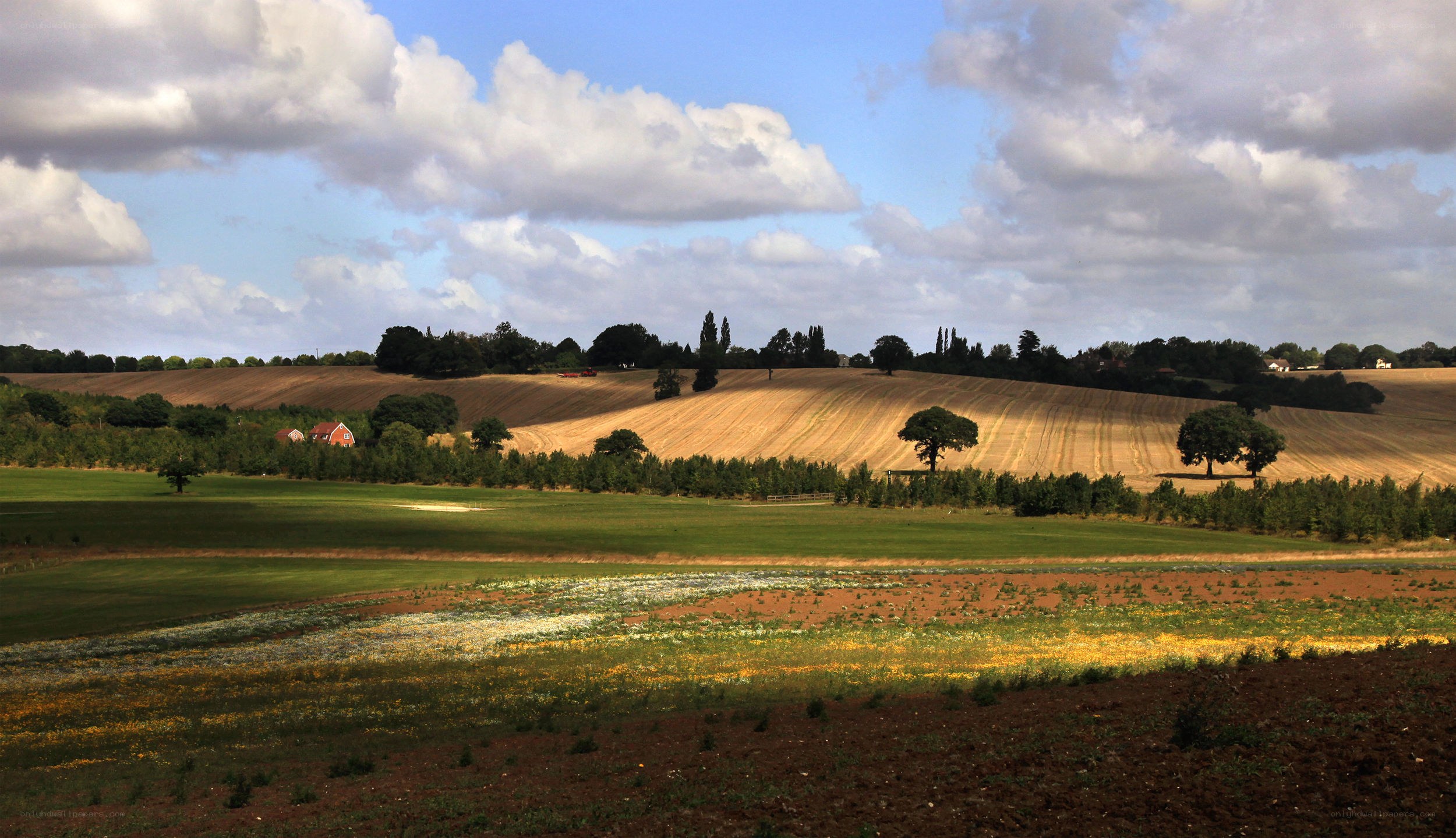 Rolling hills and farmland