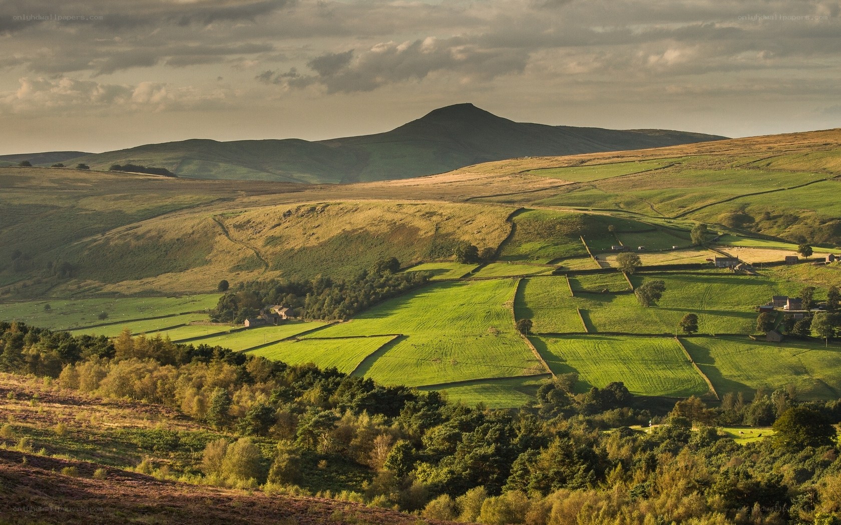 Rolling hills and farmland