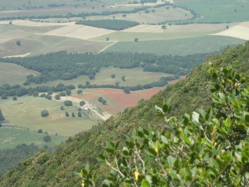 rolling hills and fields