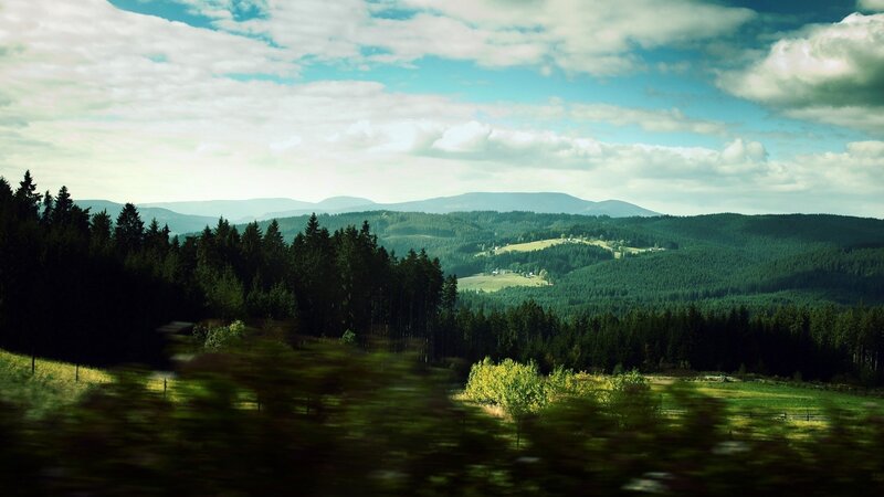 Rolling Hills and Forest — Green