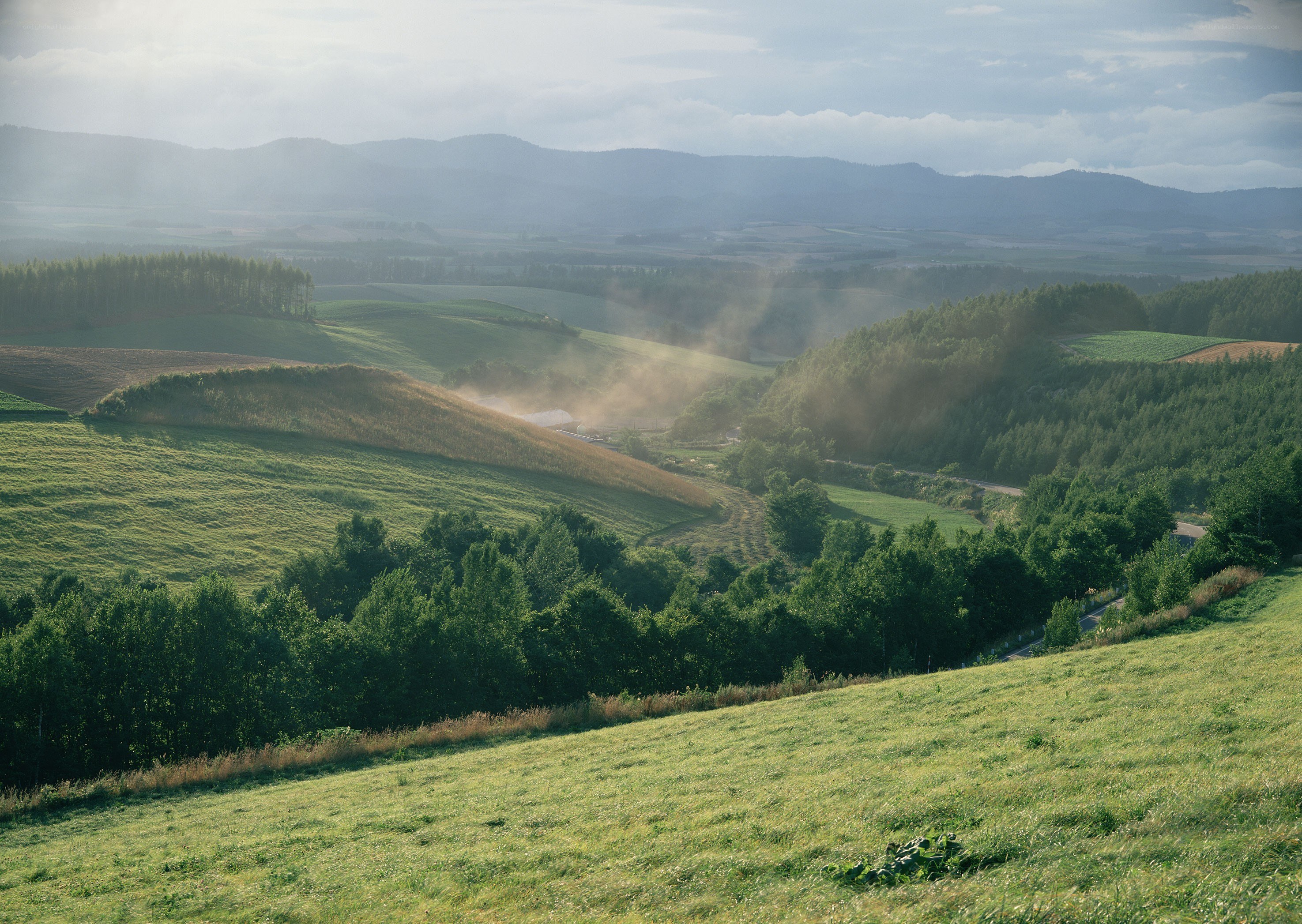 Rolling hills and forested valley