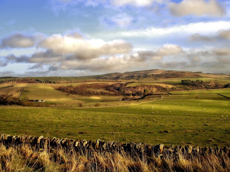 Rolling hills and green fields