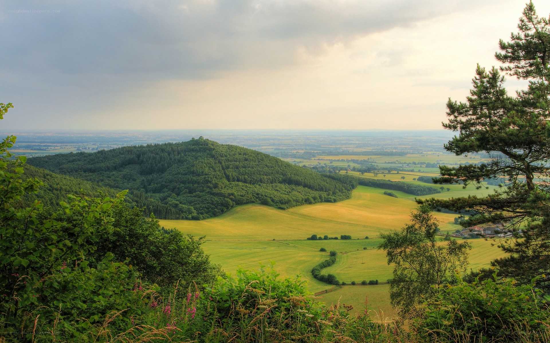 Rolling hills and green fields