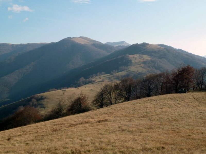 Rolling Hills and Mountains — Brown, Serene