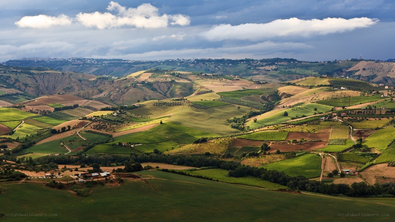 Rolling hills and vineyards
