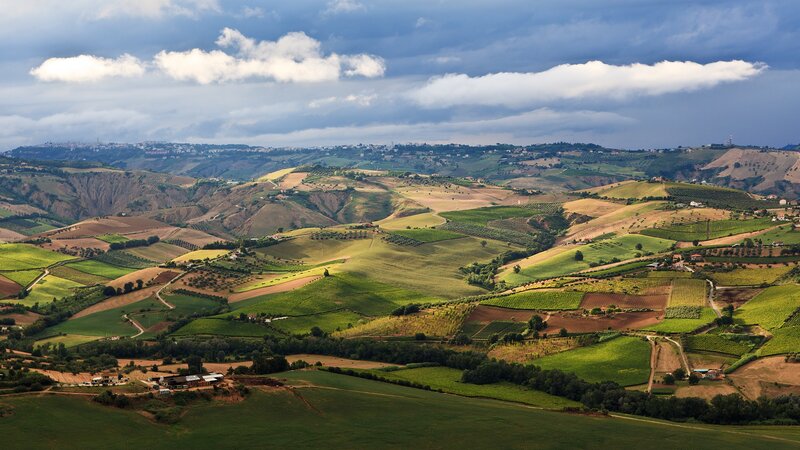 Rolling hills and vineyards