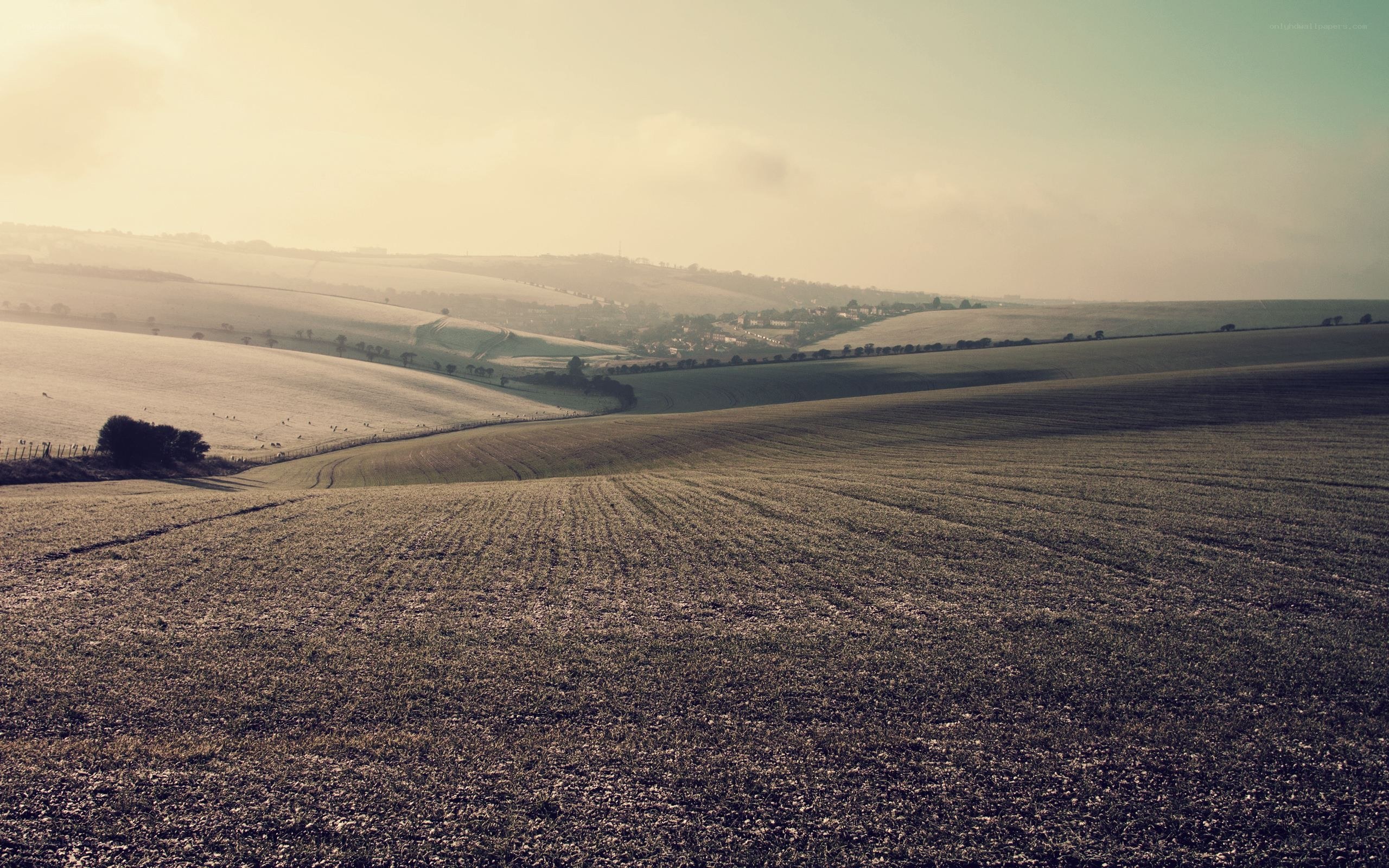 Rolling hills at dawn