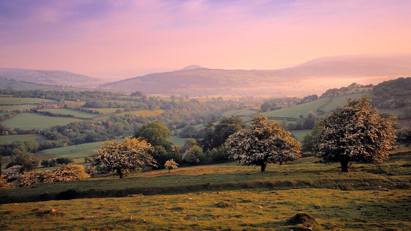 Rolling hills at dawn