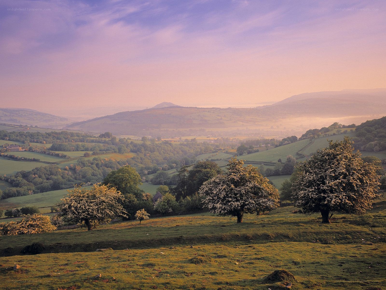 Rolling hills at dawn