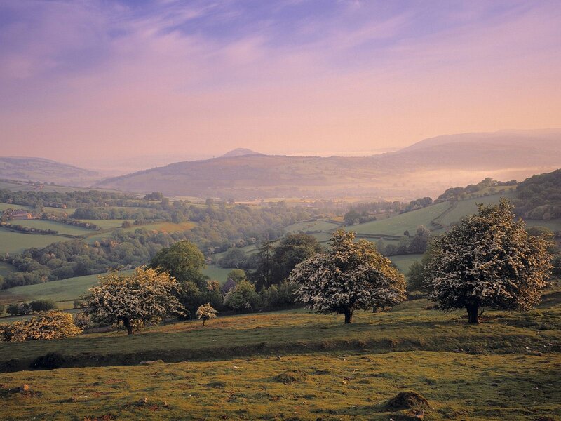 Rolling hills at dawn