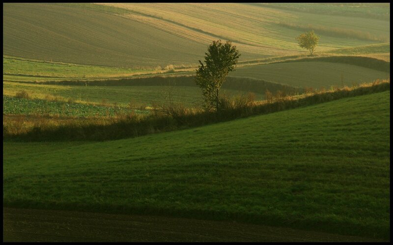 Rolling hills at golden hour