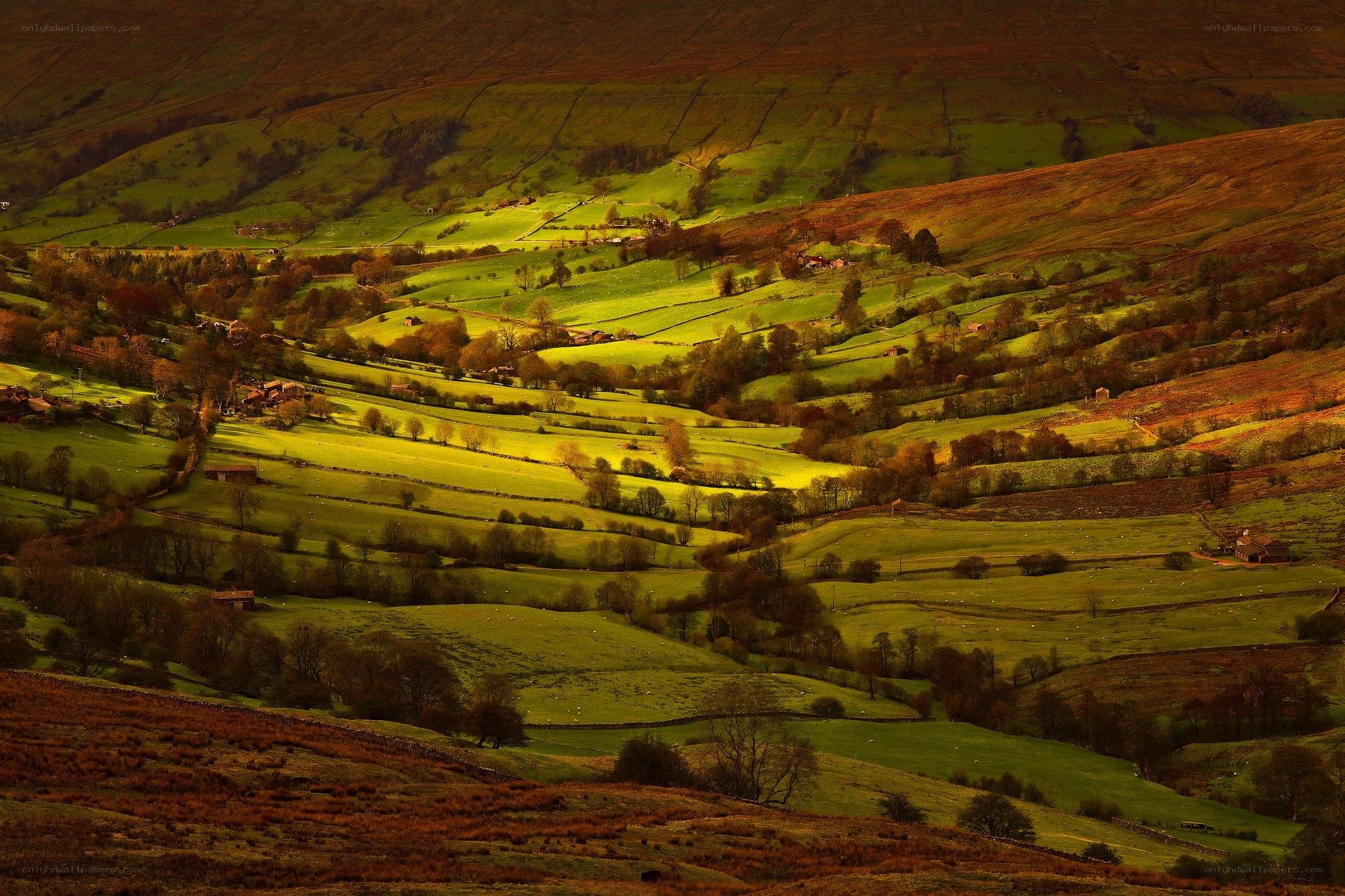 Rolling hills at golden hour